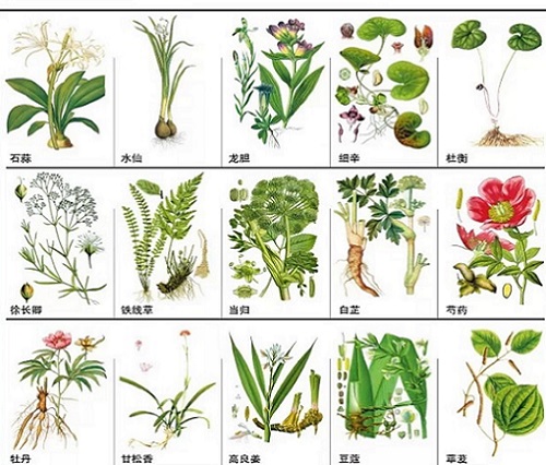 Spring Acupuncture Center Content